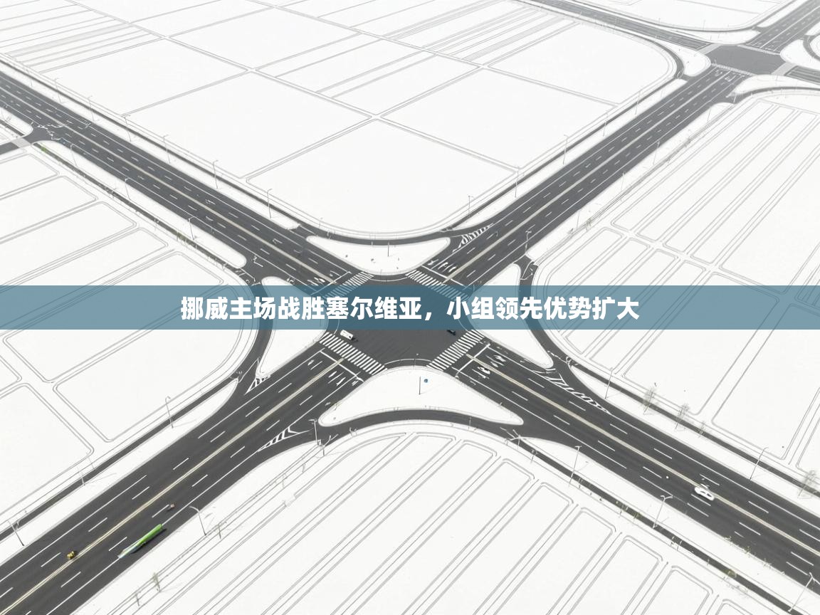 开云体育在线登入-挪威主场战胜塞尔维亚,小组领先优势扩大  第1张