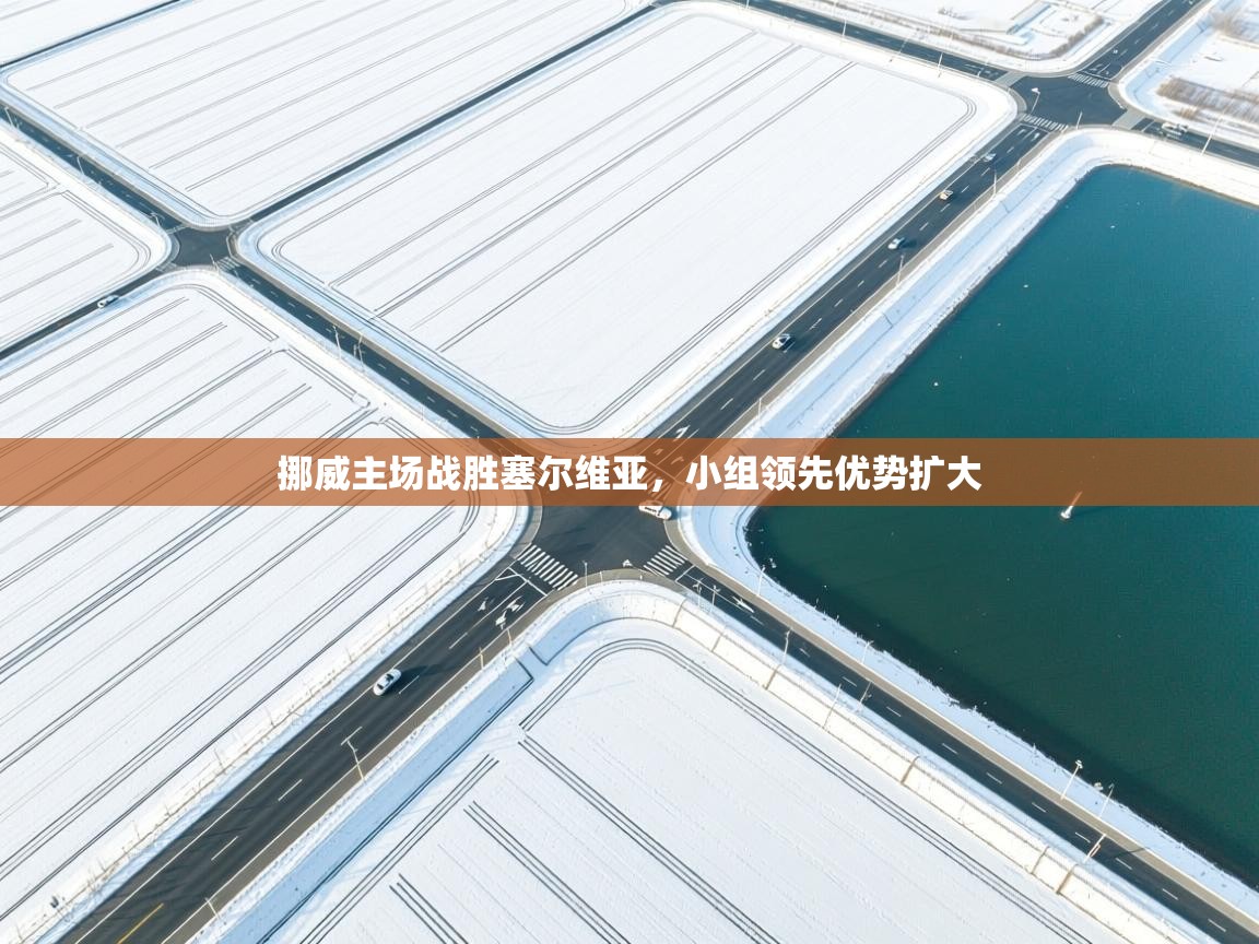 开云体育在线登入-挪威主场战胜塞尔维亚,小组领先优势扩大  第3张