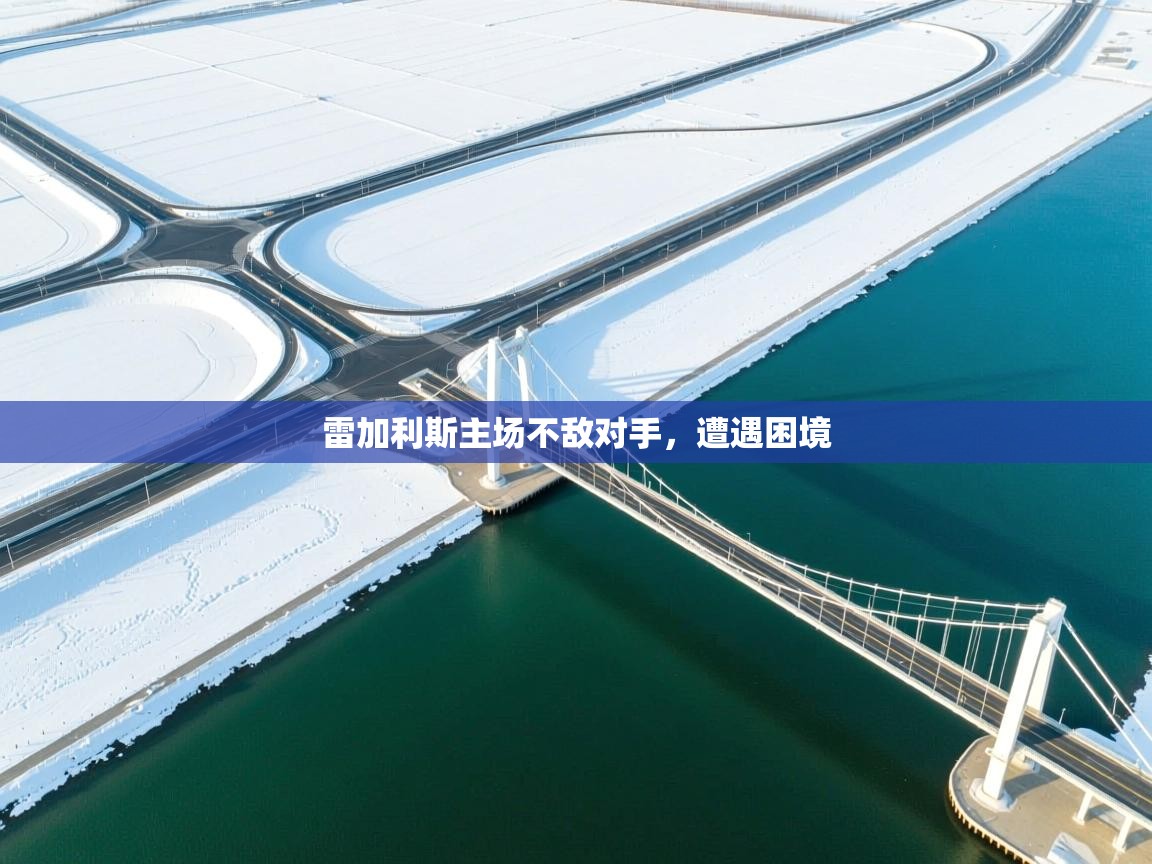 云开体育官网入口登录网页-雷加利斯主场不敌对手，遭遇困境  第1张