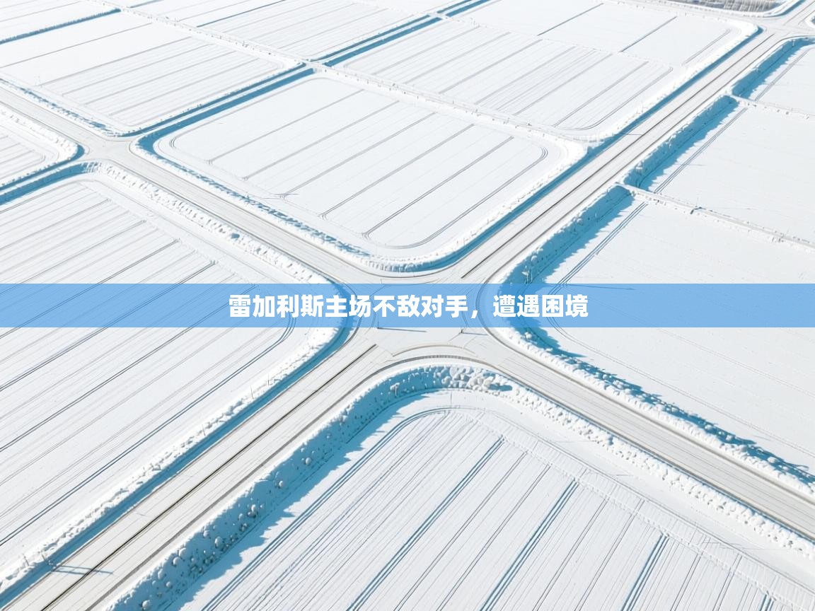 云开体育官网入口登录网页-雷加利斯主场不敌对手，遭遇困境  第2张