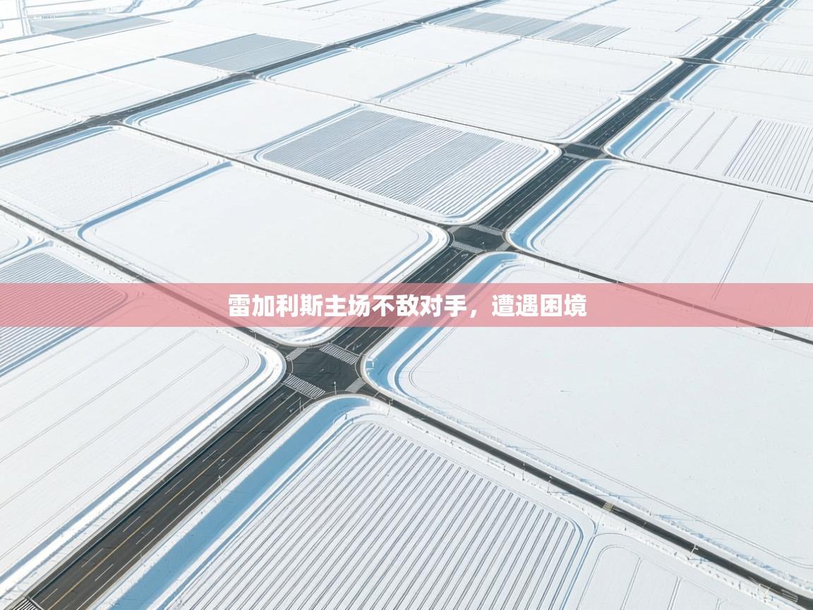 云开体育官网入口登录网页-雷加利斯主场不敌对手，遭遇困境  第3张