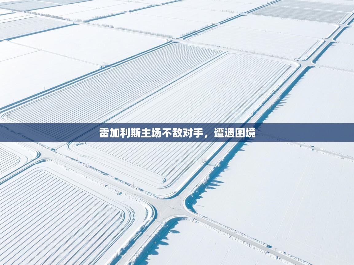 云开体育官网入口登录网页-雷加利斯主场不敌对手，遭遇困境  第4张