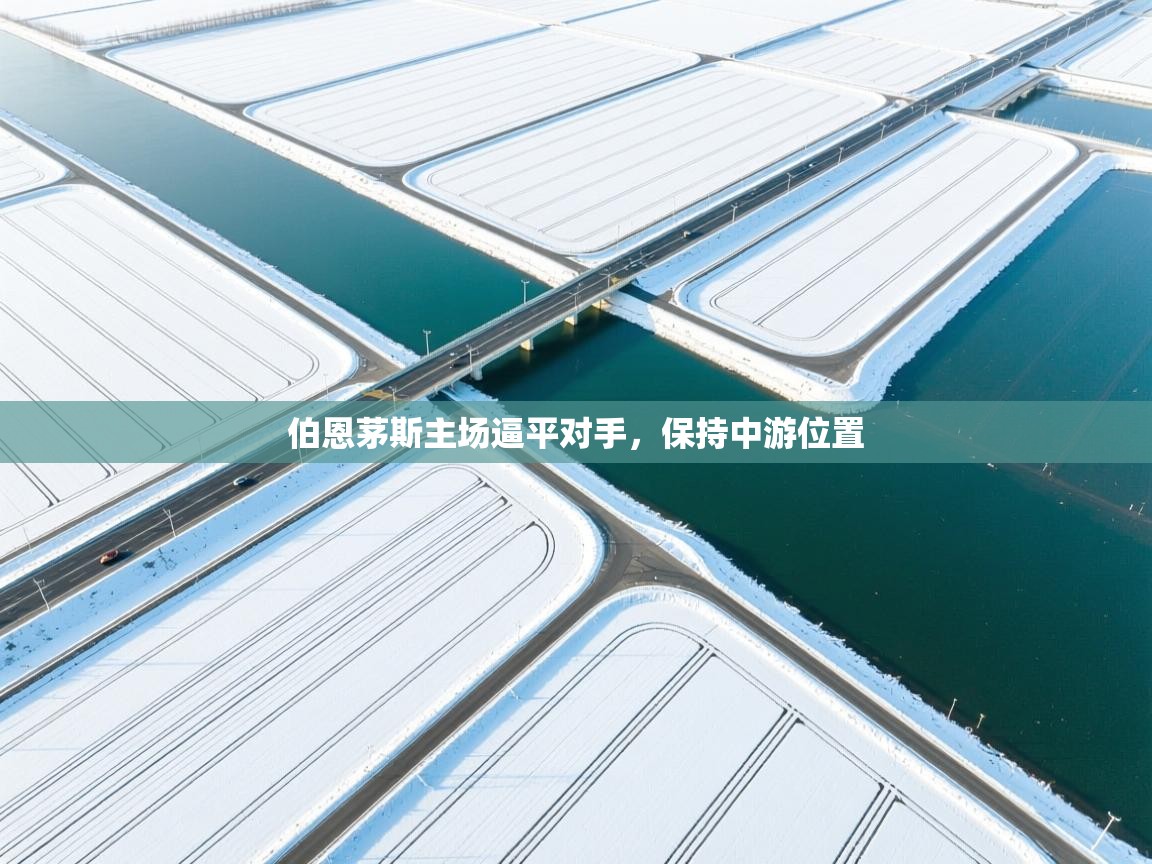 开云网页版-伯恩茅斯主场逼平对手,保持中游位置 第4张